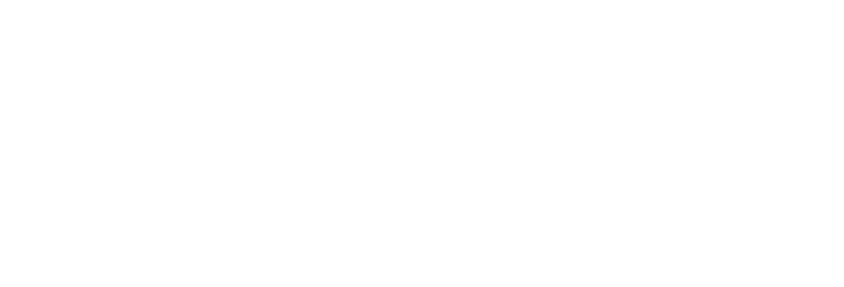 Troomy Nootropics